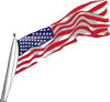 USA Logo